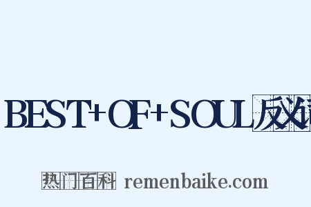 BEST+OF+SOUL反义词是什么意思的图片